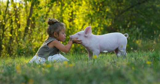 Tierliebe Kind schwein Vegan