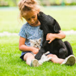 Kleines Kind schmust mit Hund und Katze auf dem Rasen. Mädchen hält Hund und Katze im Arm.