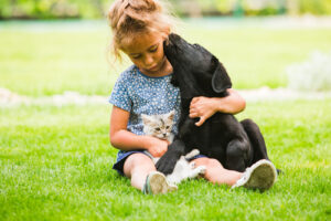 Kleines Kind schmust mit Hund und Katze auf dem Rasen. Mädchen hält Hund und Katze im Arm.