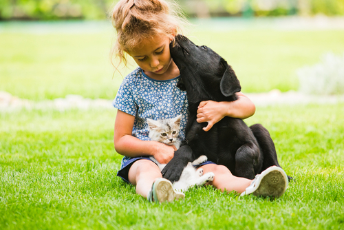 Kleines Kind schmust mit Hund und Katze auf dem Rasen. Mädchen hält Hund und Katze im Arm.