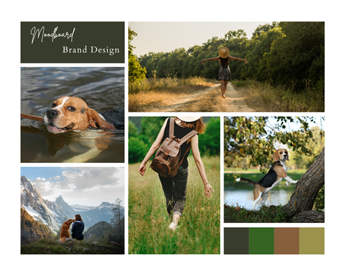 Moodboard Collage - Hund mit Stock im Mund im Wasser, Frau mit Hut auf Waldweg und mit Rucksack auf Wiese, Frau mit Hund die vor Berglandschaft sitzen und Hund der sich gegen Baum stützt.