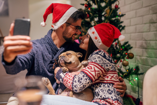 Mann, Frau und Hund feiern Weihnachten - sie machen ein Selfie vor dem Weihnachtsbaum