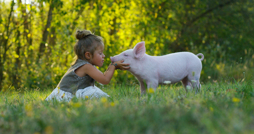 Junges Mädchen küsst in der Natur ein kleines Schweinchen