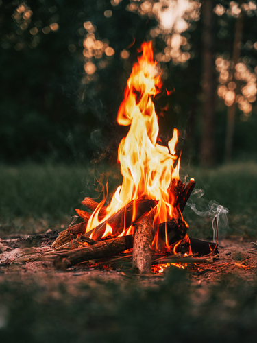 Ein Lagerfeuer im Freien, im Hintergrund sieht man den Wald. Im Vordergrund die Flammen und das Feuer.